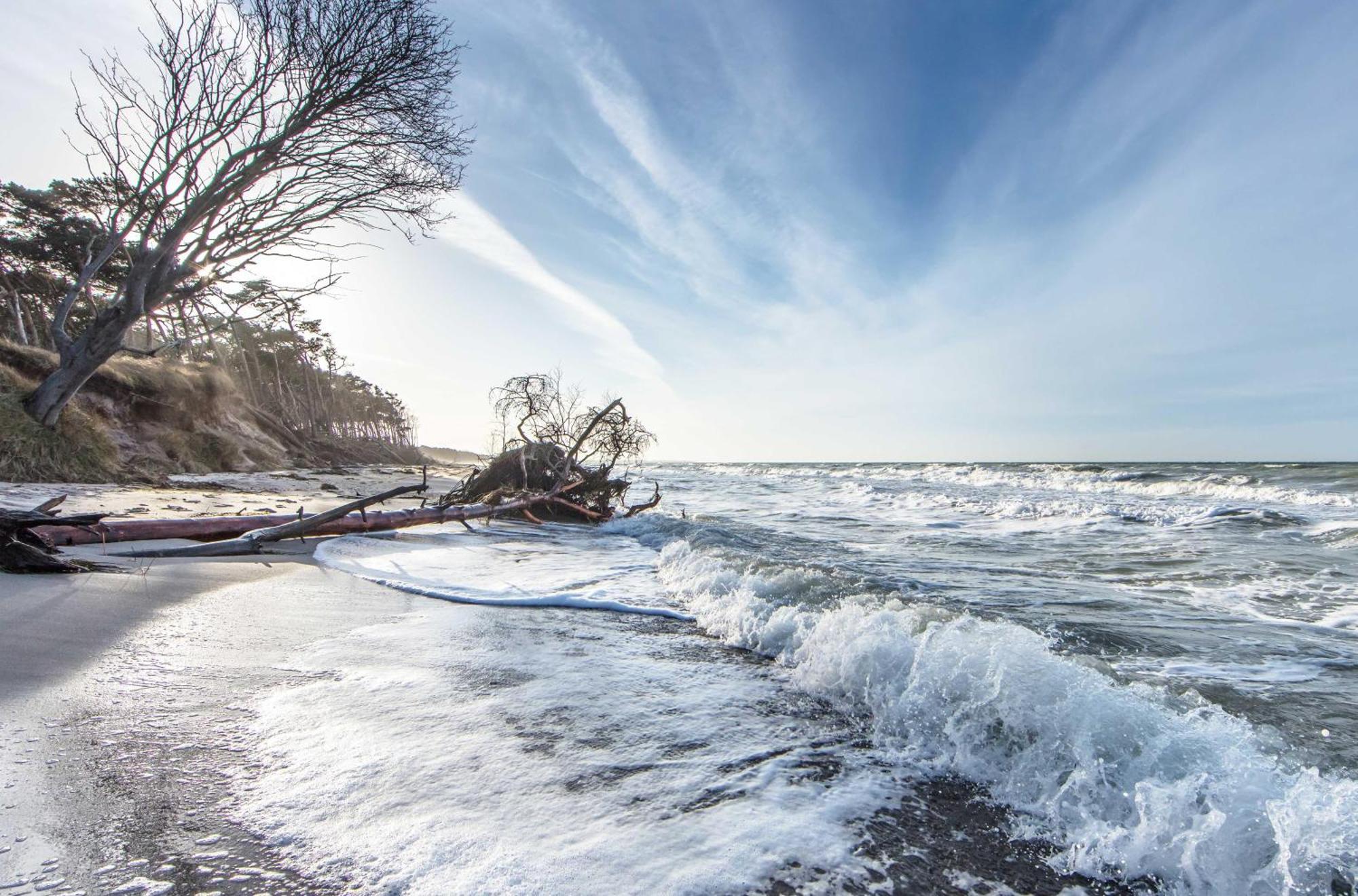 Herzmuschel An Der Seebruecke Zingst Exteriör bild